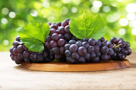 fresh ripe grapes with leaves on a wooden boardの写真素材