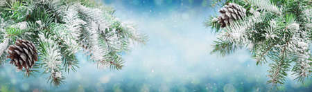 Christmas and New Year background. Snowy fir tree branches on winter blurred background with christmas lightsの写真素材
