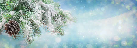 Christmas and New Year background. Snowy fir tree branches on winter blurred background with christmas lightsの写真素材