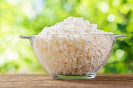 bowl of cottage cheese on a green backgroundの写真素材