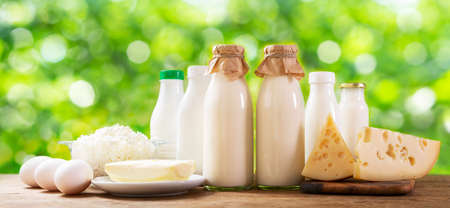 Various types of dairy products: milk, cheese, cottage cheese, eggs, yogurt on a green backgroundの写真素材