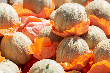 fresh ripe cantaloupe melons on a market, as backgroundの写真素材