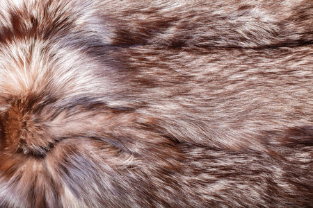 Natural animal fur texture as background, top viewの写真素材