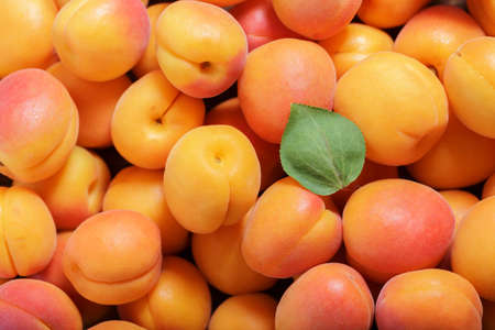fresh ripe apricots as background, top viewの写真素材