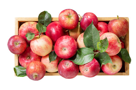 fresh red apples with leaves in a wooden box isolated on white backgroundの写真素材
