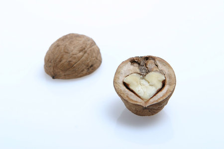 The isolated walnuts on the white