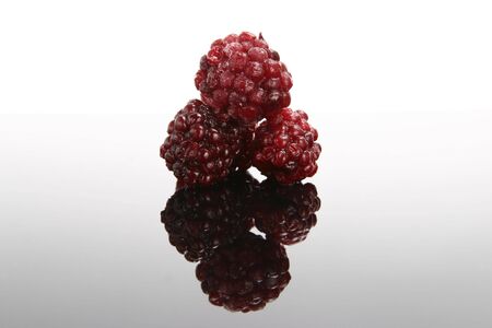 The isolated blackberry on the white and greyの写真素材