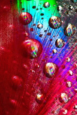 Multi-coloured drops on an iridescent surfaceの写真素材