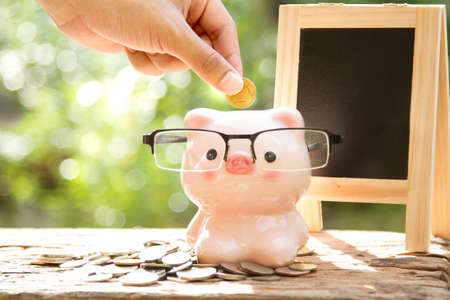 Hand putting coin to Nead Piggy bank wear glasses sitting on stack of money with blackboard and beautiful green nature background, Start growing business or saving for education concept.の写真素材