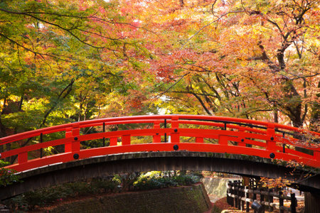 Red wooden bridge Kyoto Autumn Japan