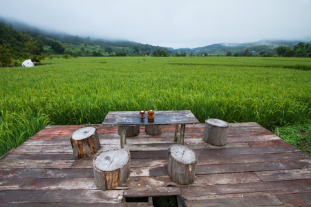 Thailand rice fields and mini capping table at Mae Hong Son, Thailandの写真素材