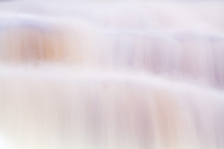 Close up waterfall surface for abstract graphic and design background