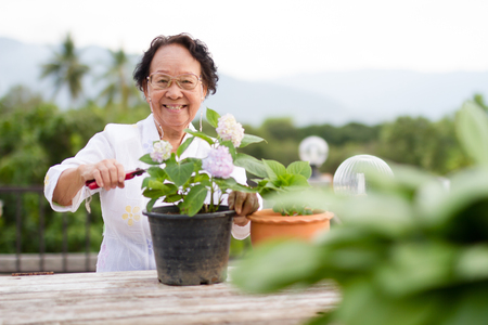 Senior woman enjoying with gardening work at homeの写真素材