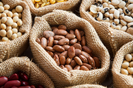 Farm concept, various legumes seed in bag
