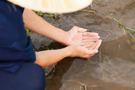 children catch water to hands cuppedの写真素材