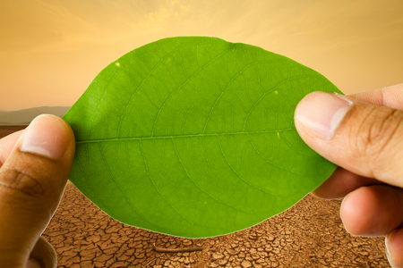 Climate change and Environment Conservation concept. Man hand holding green leaf front of land of cracked earth.の写真素材