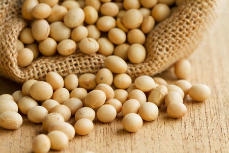 Dry food product, soy bean in sack close up. Concept: grocery background, soy milk, soy product.の写真素材