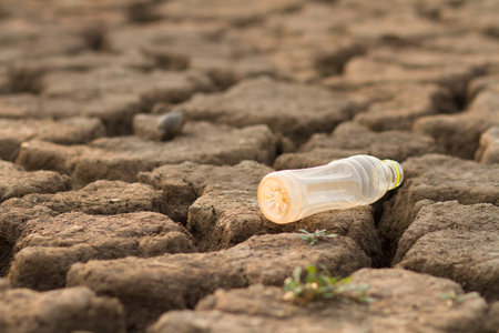 Trash of Plastic bottle appear on land after river has dried