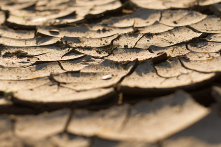 Land on river dry and cracked casue of no rain fall on season. Climate change and water crisis