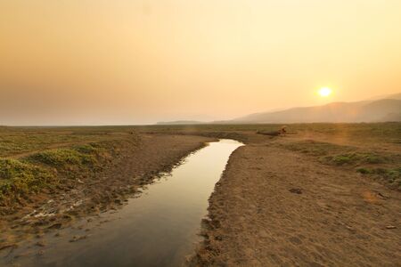 Drying river flowing pass the place, there had been the lake before. Climate change and water crisis impactの写真素材