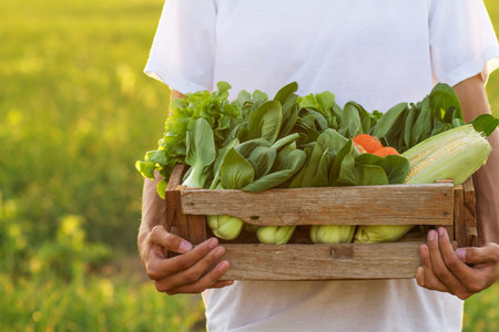 Farmer holding full basket of green vegetable and carrying to prepare delivery to customer. Fresh...