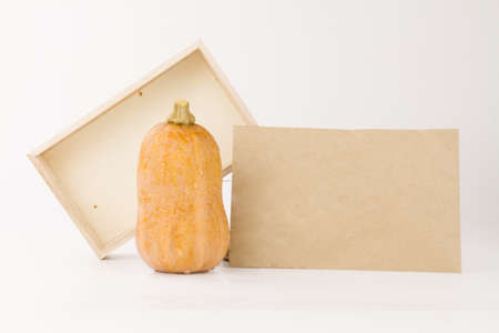 Pumpkin Butternut squash with wooden box and paper card, grow pumpkin and vegetable seed background concept.の写真素材