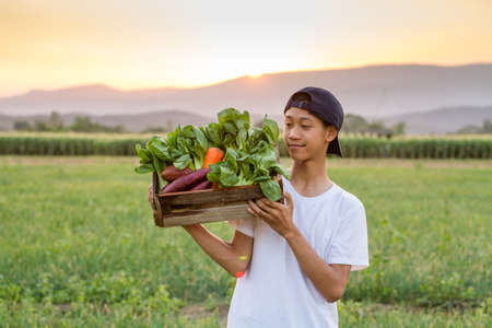 Young Asian farmer carrying a full wooden basket of various fresh vegetable at organic farmの写真素材