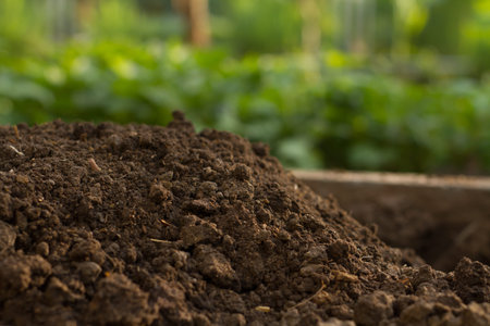Soil prepare for planting vegetable and flower