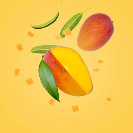 Mango tropical fruit on yellow backgroundの写真素材