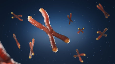 Telomere and dark blue background metaphor vaccine and virus, anti aging medical concept. 3D rendering.の写真素材