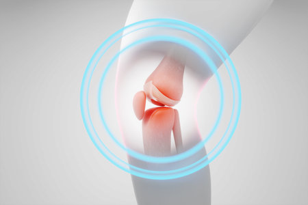 Knee pain with focus circle for knee disease concept isolated white background. 3D rendering.の写真素材