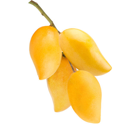 Ripe mango fruit isolated on white background. Clipping path.