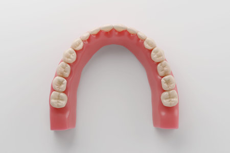 3d render of plastic jaw model with partial denture on white background