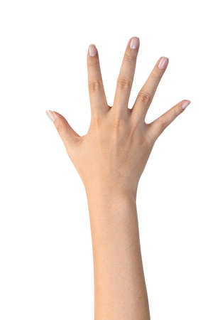 woman hand show five fingers isolated on white backgroundの写真素材