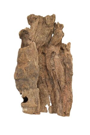 Driftwood aged wood isolated on white background. Piece of driftwood driftwood close up for aquarium.の写真素材