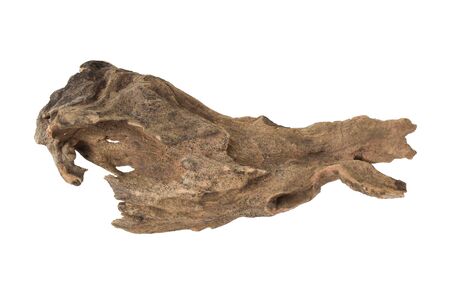 Driftwood/ aged wood isolated on white background. Piece of driftwood driftwood top view close up for aquarium.の写真素材