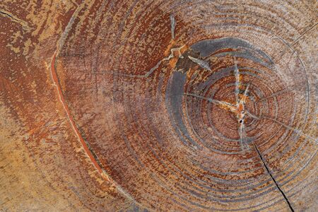 Close-up surface texture of old wooden furniture with tree year circle for background.の写真素材