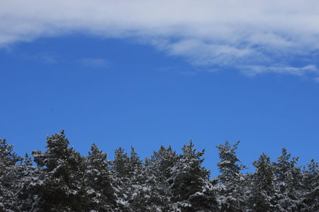 between winter and springの写真素材