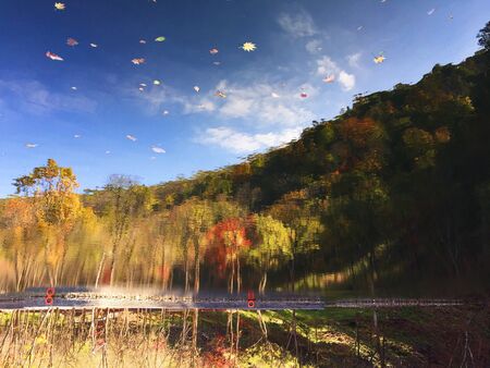 water reflection of autumn leavesの写真素材