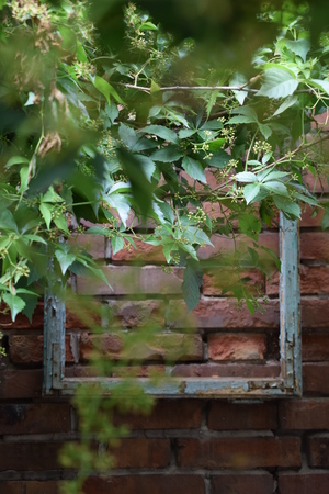 wooden frame on a brick wall in the gardenの写真素材