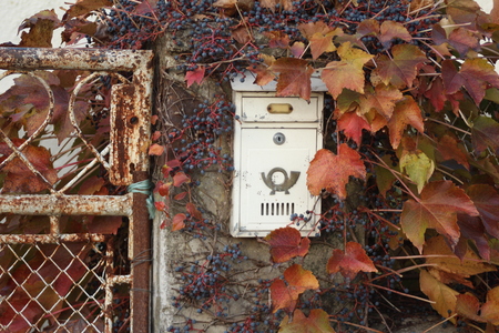beautiful mailbox and colorful decorative creeperの写真素材