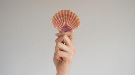 Woman's hand holds Mexican Flat Seashells on isolated background