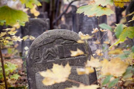 A old Jewish tombstones lost in green