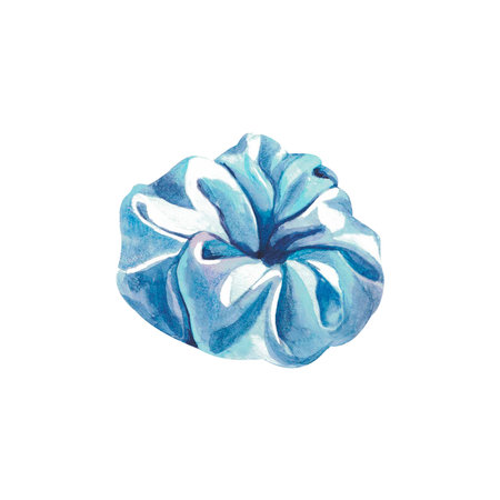 Scrunchy. Watercolor. Isolateの写真素材