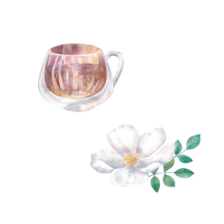 Rose hip Painted by hand in watercolor. Designed for advertising, printing, web, beauty studios, fitness centers, women's clubsの写真素材