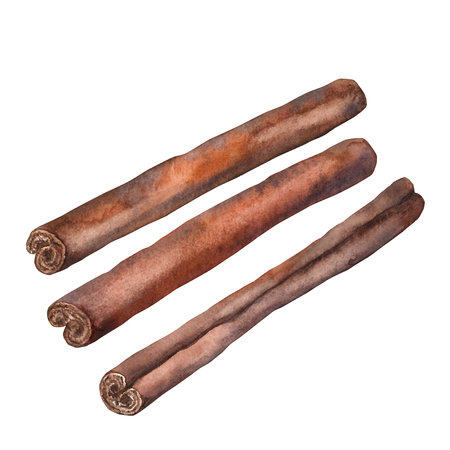 Cinnamon Watercolor Isolate Illustration for clipart. Designed for menus, culinary blogs, packaging, textiles, web design, stickers, invitationsの写真素材