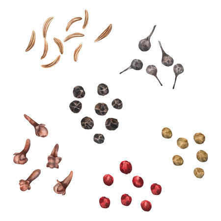 Watercolor. Isolate Illustration for clipart. Designed for menus, culinary blogs, packaging, textiles, web design, stickers, invitationsの写真素材