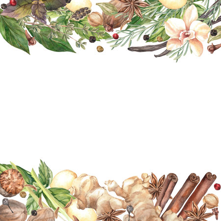 Spices Watercolor. Set. Illustration for clipart. Designed for menus, culinary blogs, packaging, textiles, web design, sites, stickers, invitations, patterns, logos. Drawn by hand.の写真素材