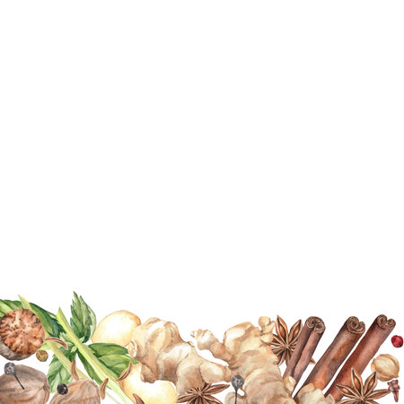 Spices Watercolor. Set. Illustration for clipart. Designed for menus, culinary blogs, packaging, textiles, web design, sites, stickers, invitations, patterns, logos. Drawn by hand.の写真素材