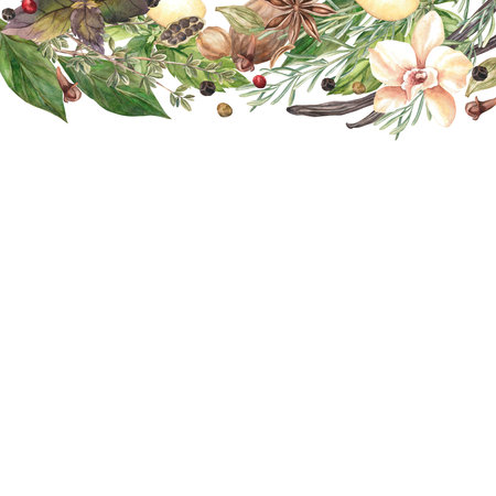 Spices Watercolor. Set. Illustration for clipart. Designed for menus, culinary blogs, packaging, textiles, web design, sites, stickers, invitations, patterns, logos. Drawn by hand.の写真素材